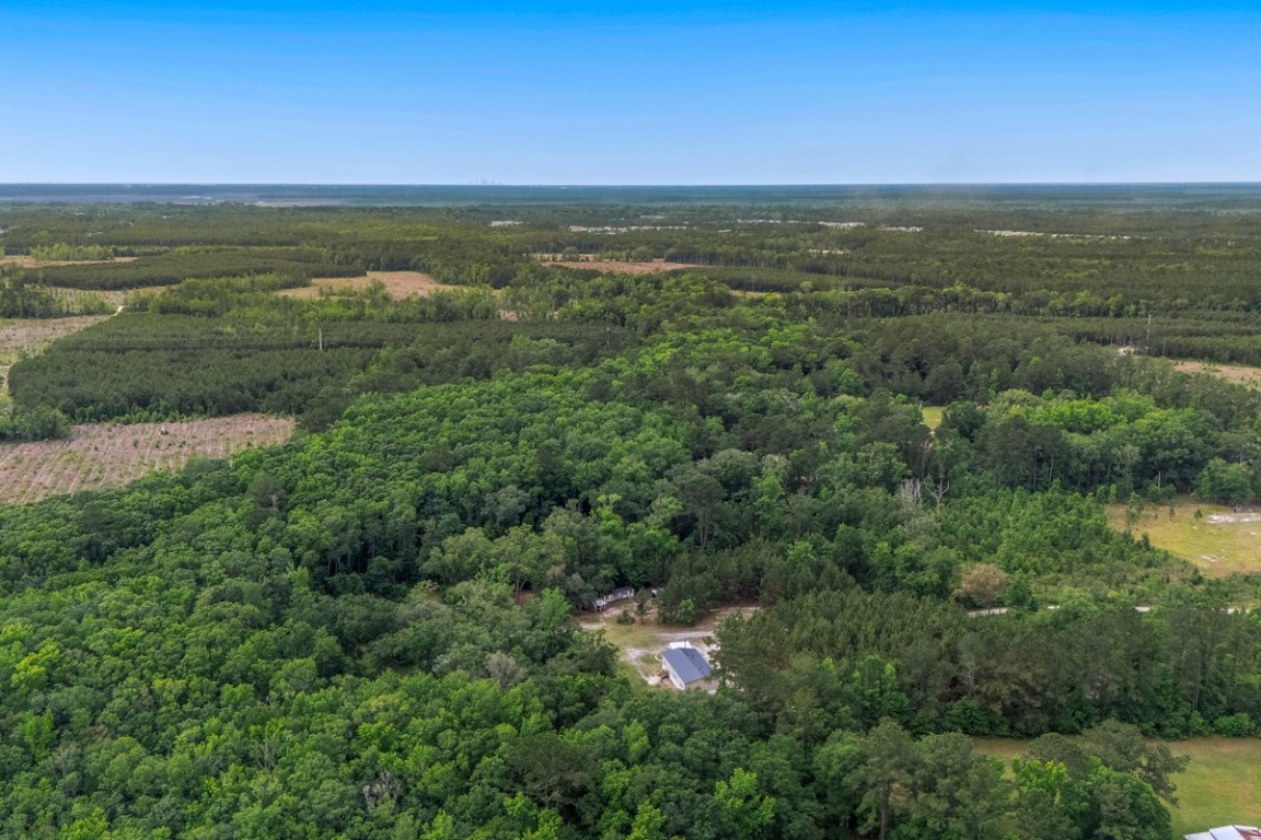 66516 Fred Miner Estate Drive, Yulee, Florida image 39