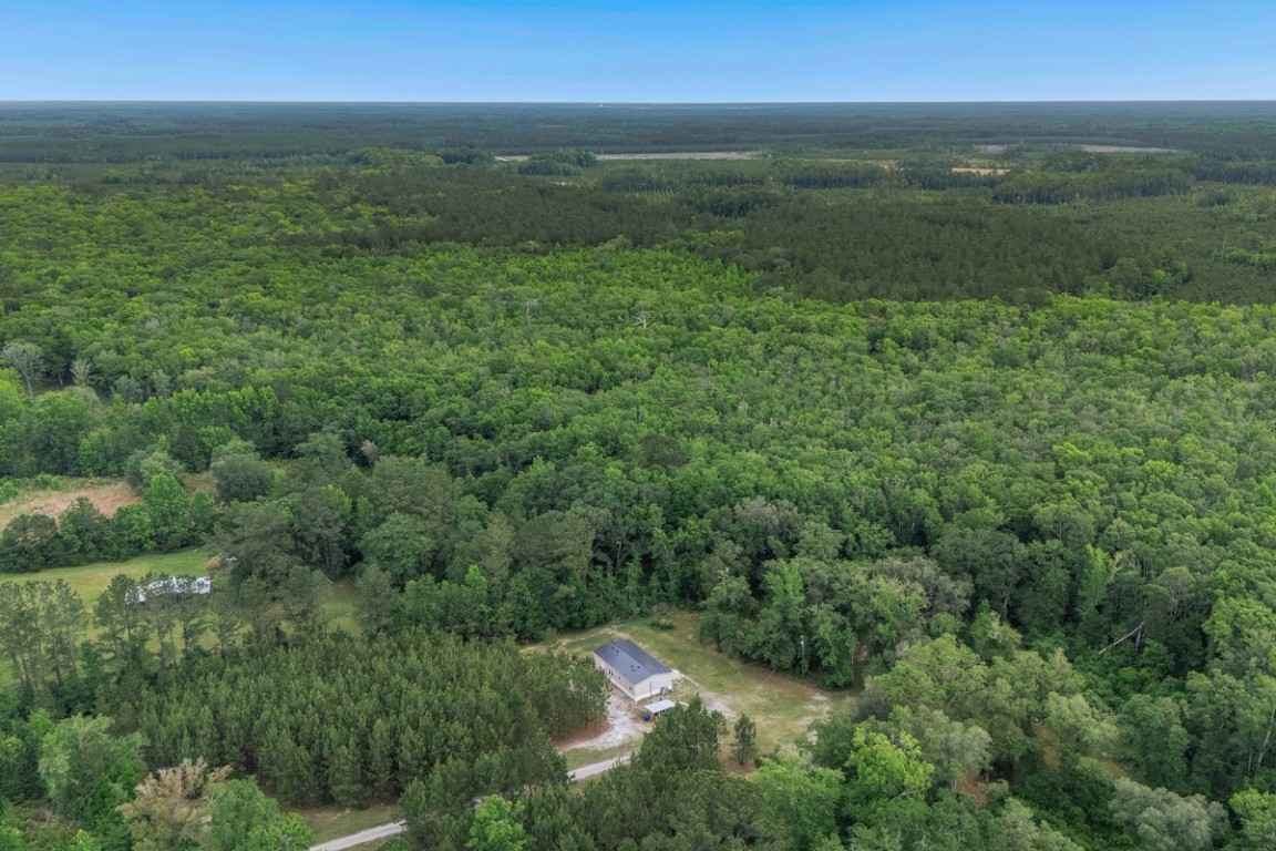 66516 Fred Miner Estate Drive, Yulee, Florida image 44