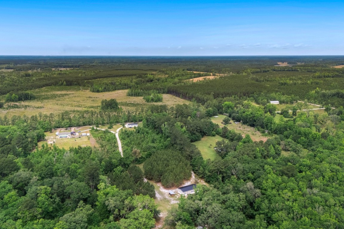 66516 Fred Miner Estate Drive, Yulee, Florida image 5