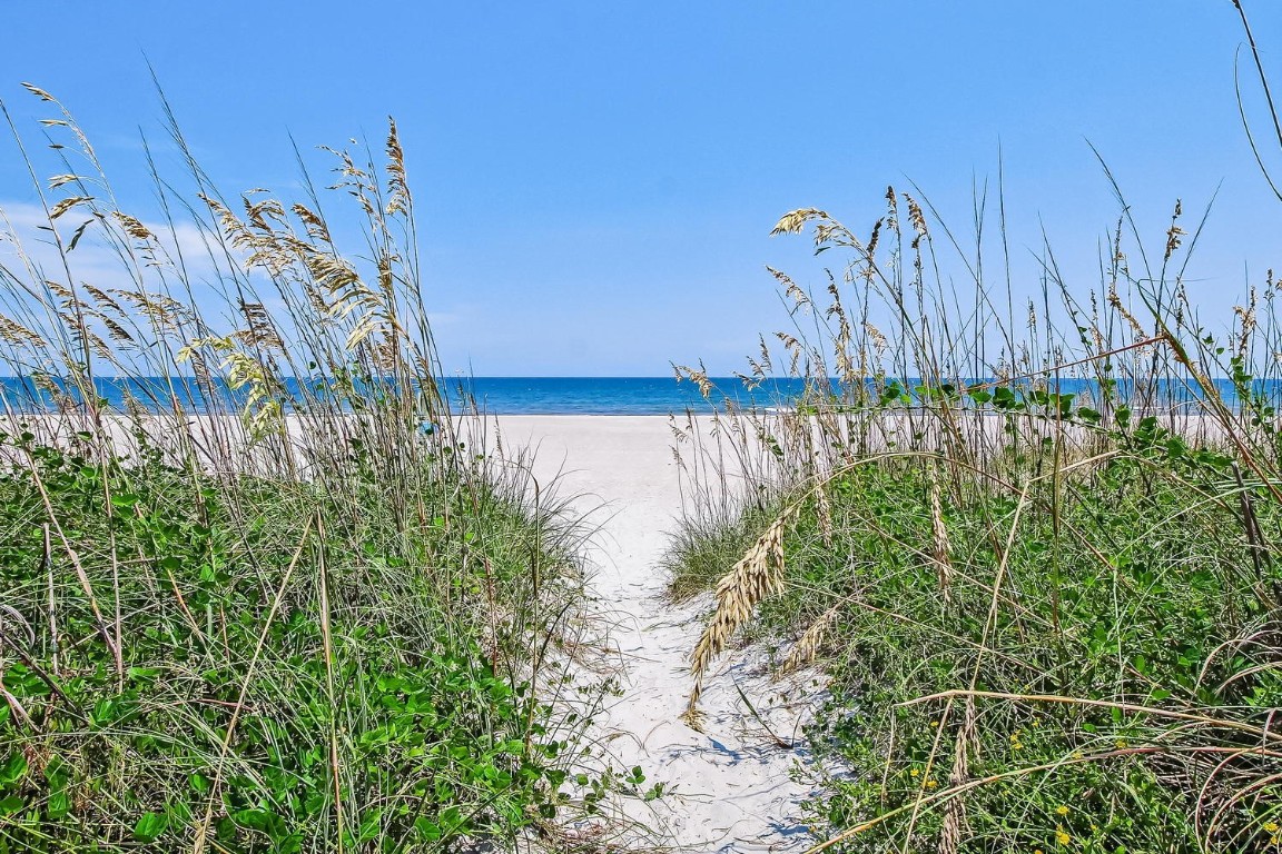 Fernandina Beach, Florida 32034, United States, ,Land,Active,236805