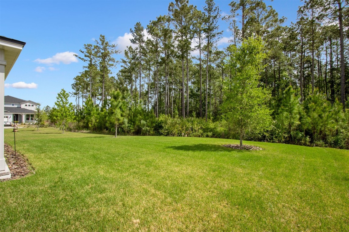 386 Saw Palmetto Street, Yulee, Florida image 44
