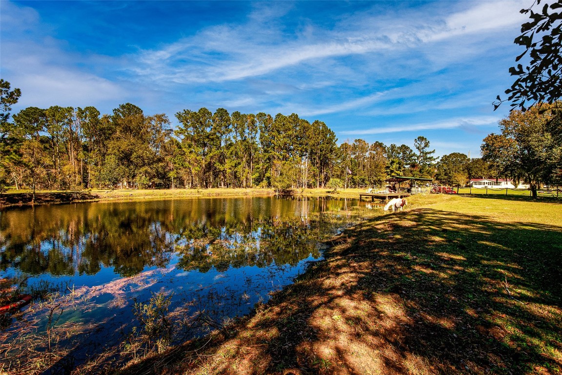 44192 Higginbotham Drive, Callahan, Florida image 34