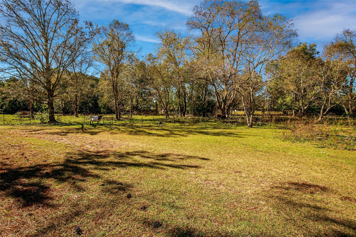 44192 Higginbotham Drive, Callahan, Florida image 39