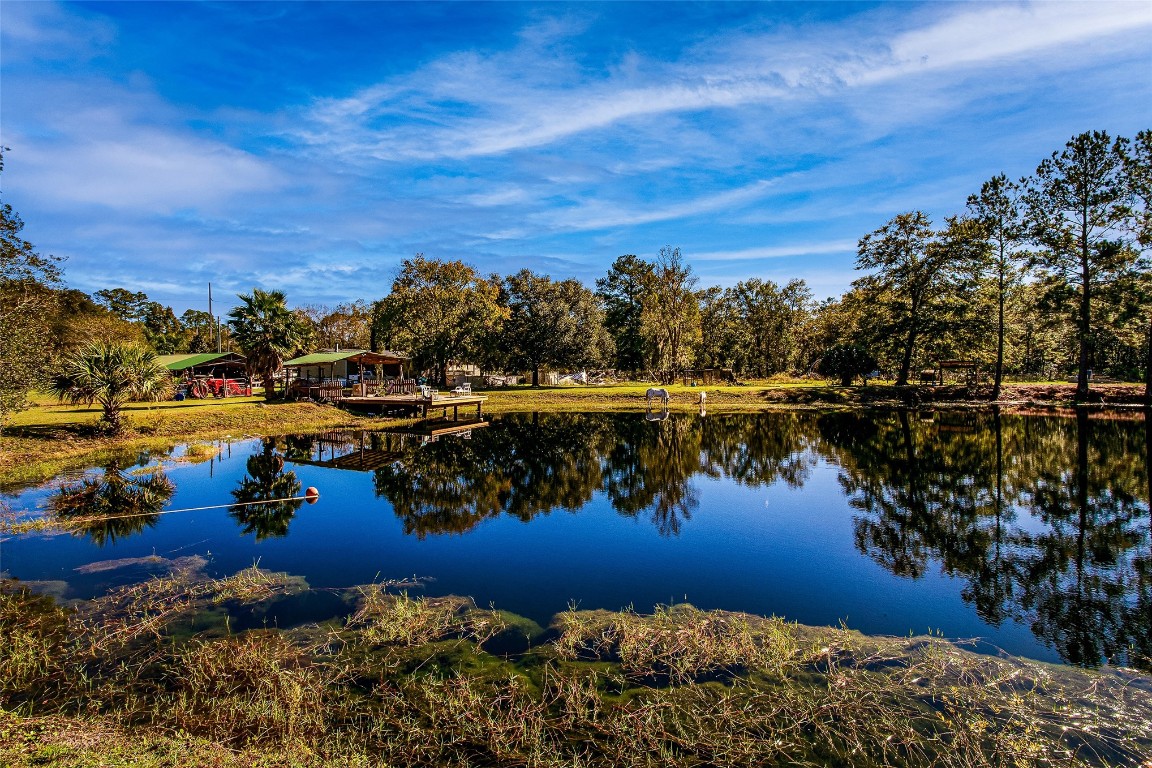 44192 Higginbotham Drive, Callahan, Florida image 33