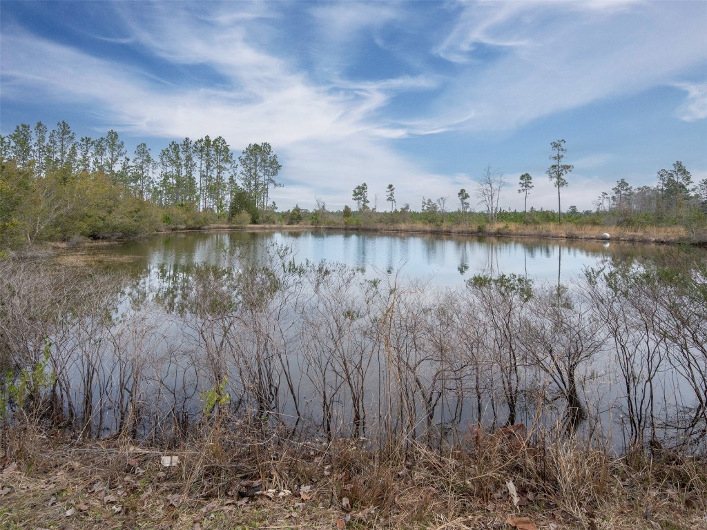 27189 Betina Drive, Hilliard, Florida image 37