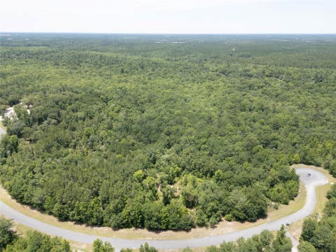 Vacant Land For Sale - 15457 Bullock Bluff Road<br/> Bryceville, FL 32009