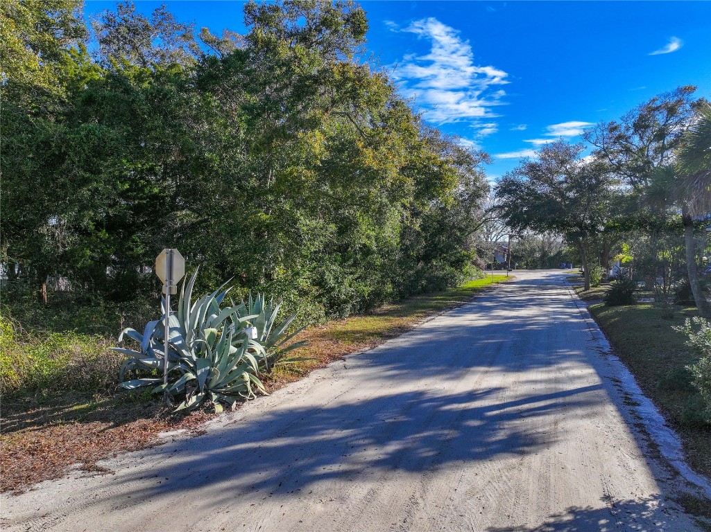 San Fernando Street, Fernandina Beach, Florida image 12