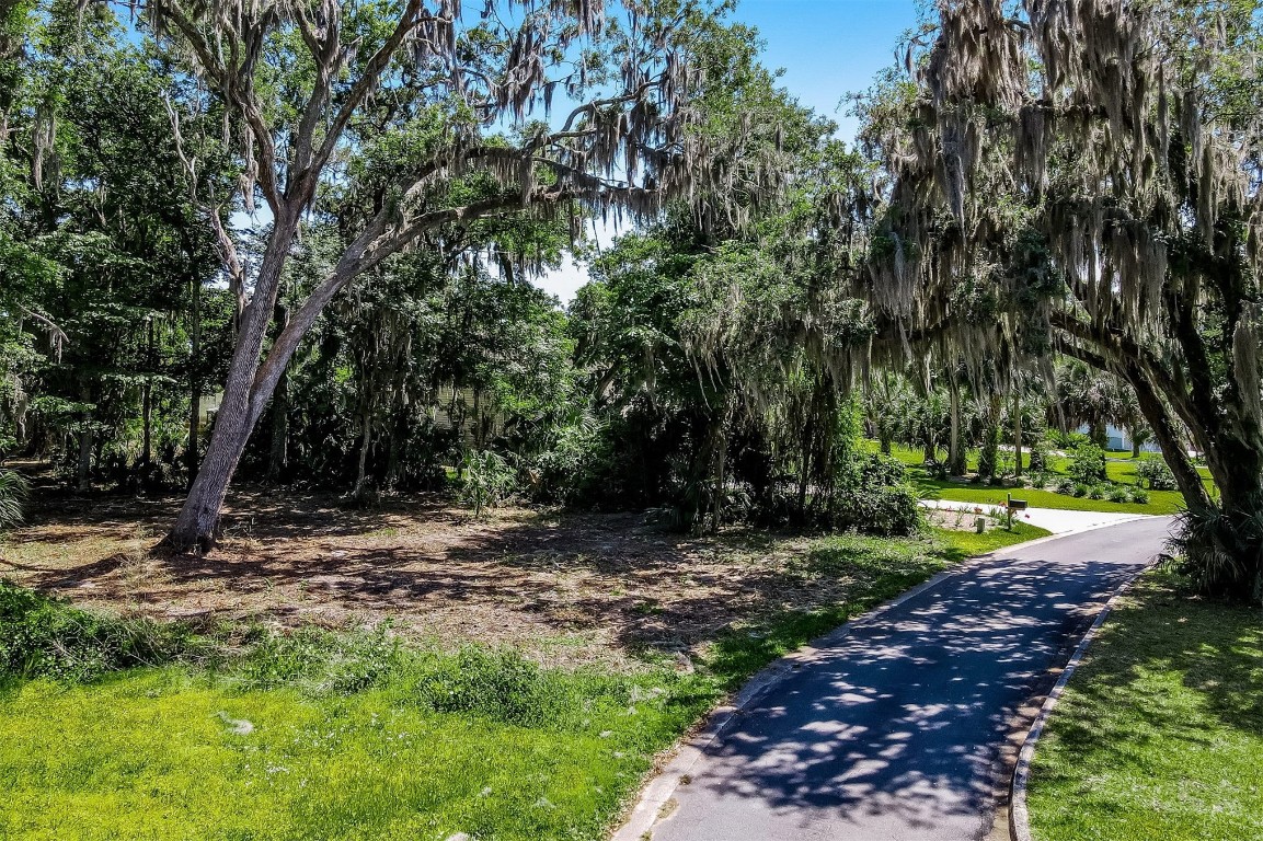 Lot 11 Summer Breeze Drive, Fernandina Beach, Florida image 5