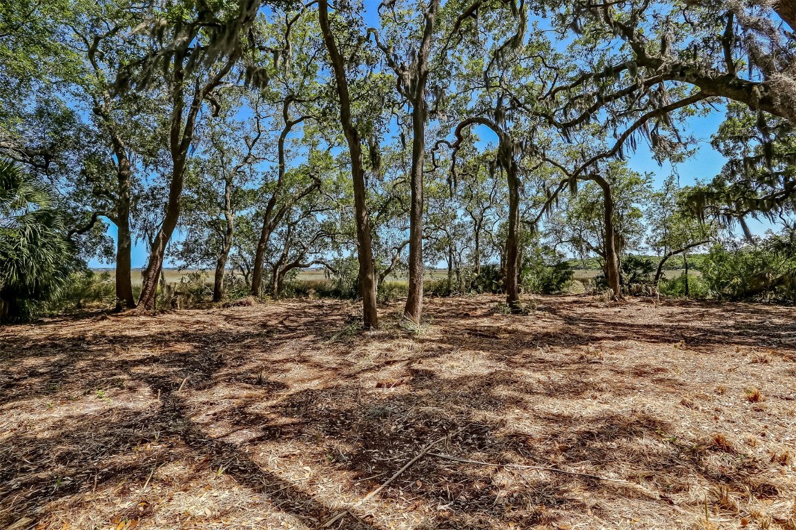 Lot 11 Summer Breeze Drive, Fernandina Beach, Florida image 7