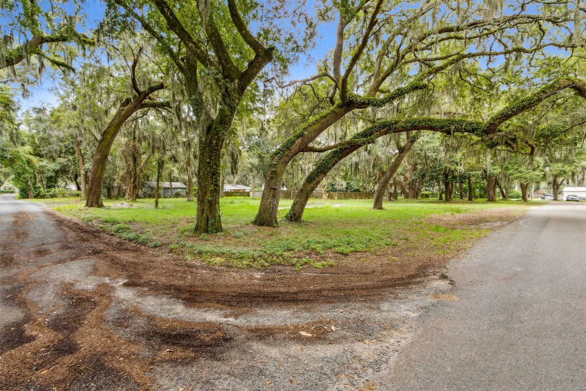 1889 Palm Drive, Fernandina Beach, Florida image 1