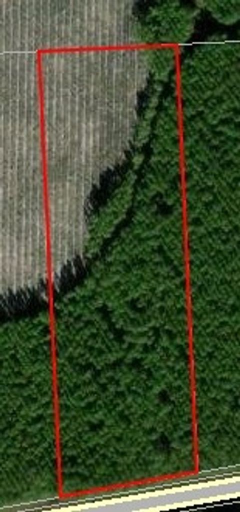 Vacant Land For Sale - 172586 Andrews Road<br/> Hilliard, FL 32046