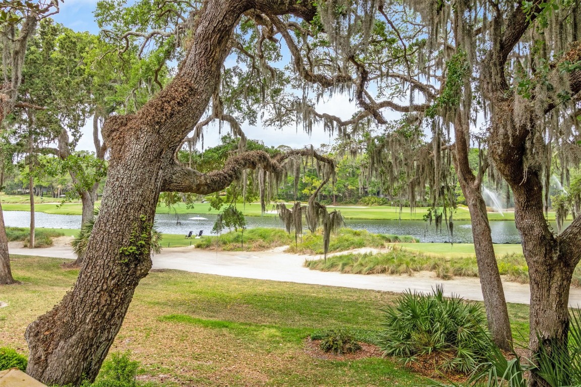2101 Beach Wood Road #2101, Fernandina Beach, Florida image 23