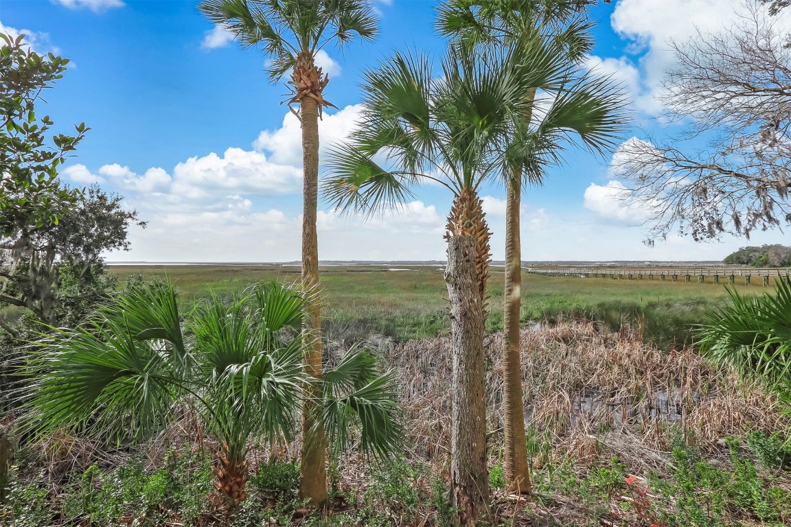 95126 Spring Tide Lane, Amelia Island, Florida image 42