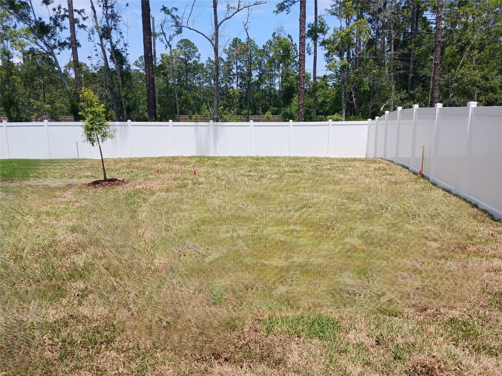 96301 Broadmoor Road, Fernandina Beach, New Mexico image 3