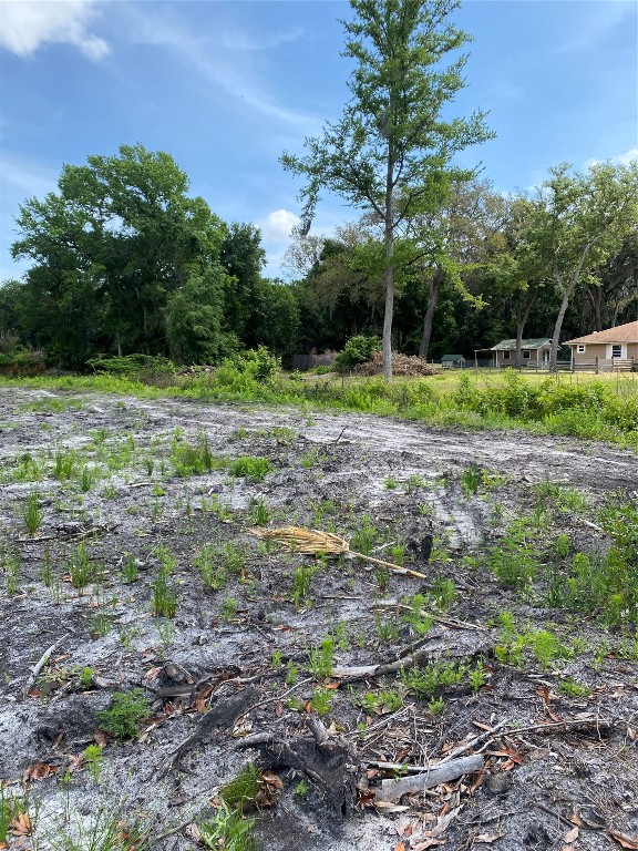 Laffites Way, Yulee, Florida image 13