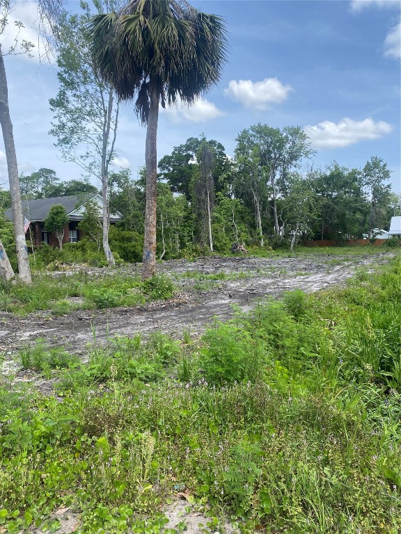 Laffites Way, Yulee, Florida image 1