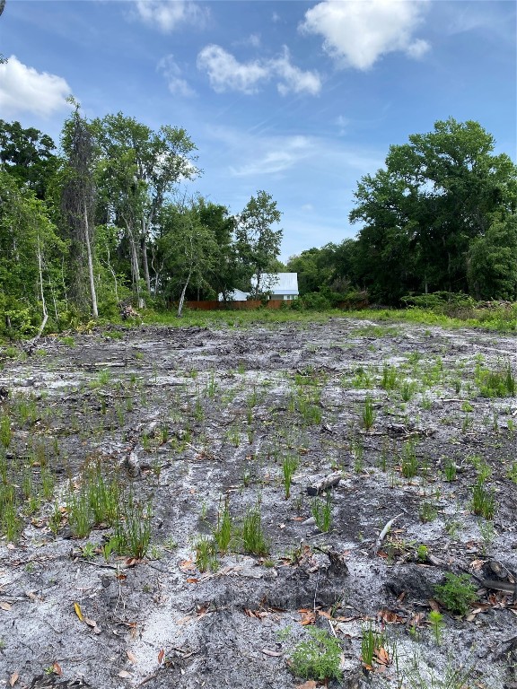 Laffites Way, Yulee, Florida image 3