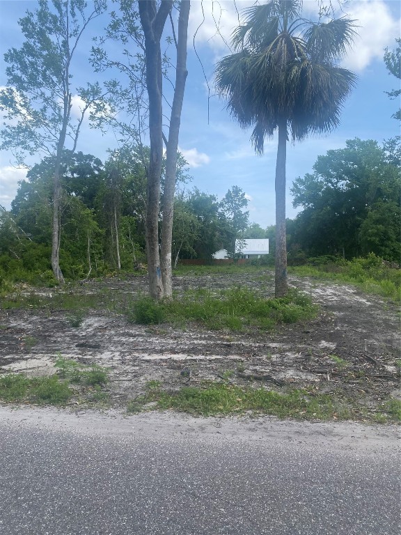 Laffites Way, Yulee, Florida image 15