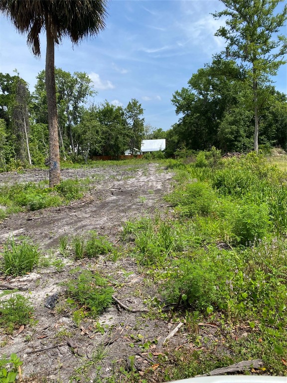 Laffites Way, Yulee, Florida image 4