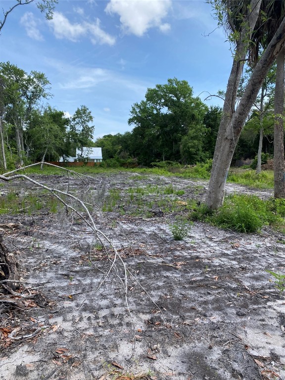 Laffites Way, Yulee, Florida image 14
