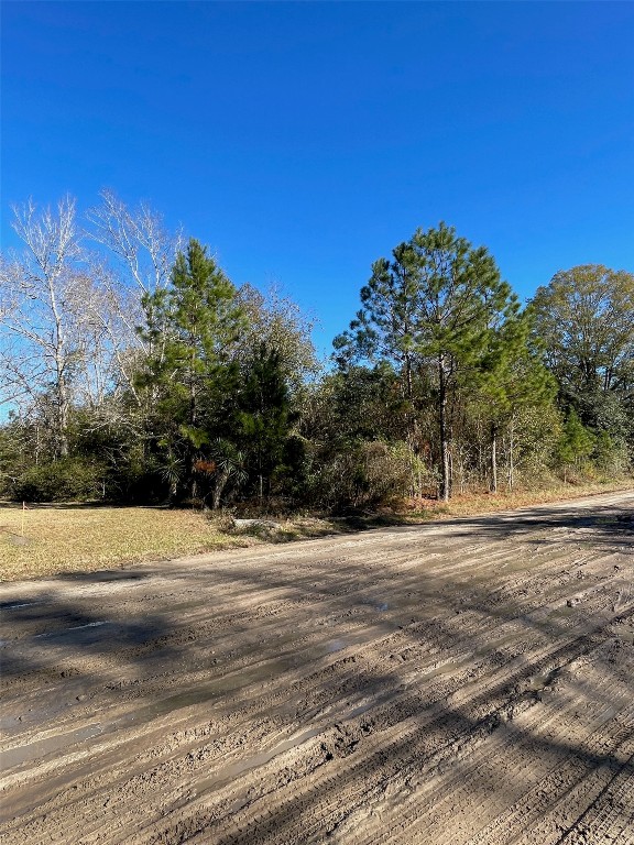 Eula B Road, Callahan, Florida image 3