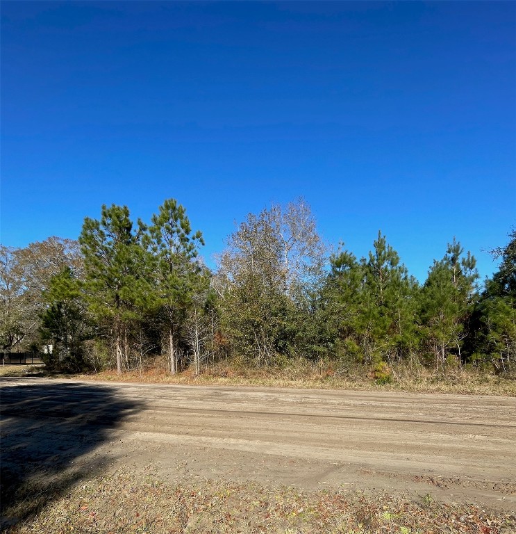 Eula B Road, Callahan, Florida image 2