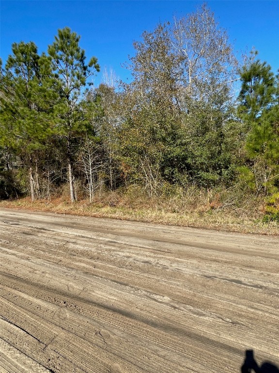Eula B Road, Callahan, Florida image 4