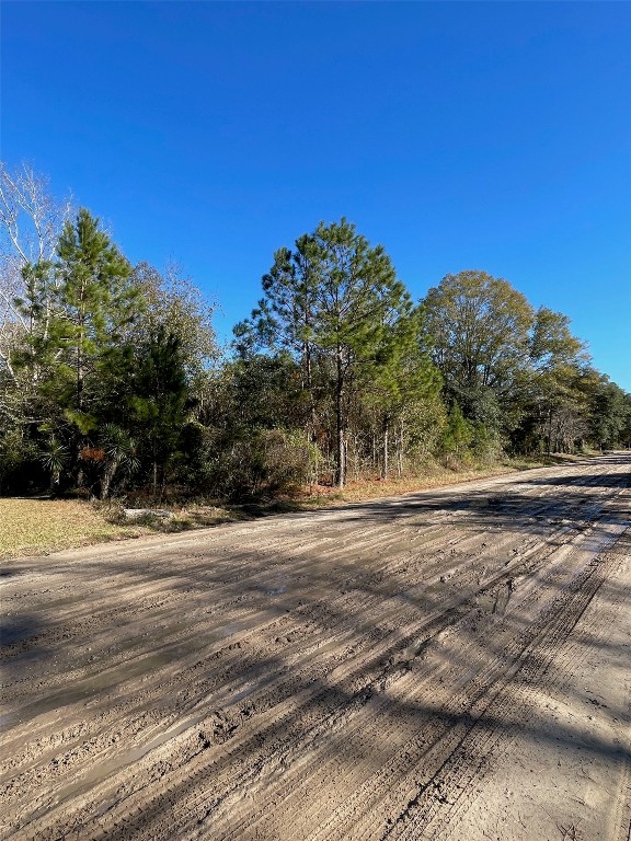 Eula B Road, Callahan, Florida image 5