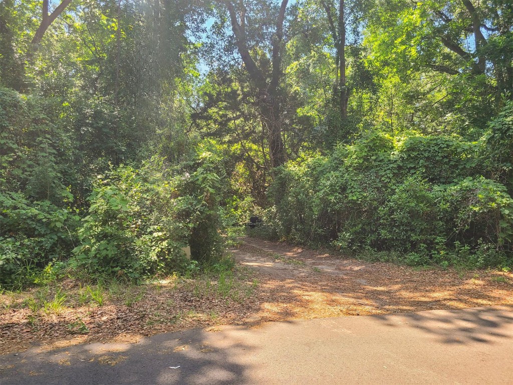 Amelia Circle, Fernandina Beach, Florida image 2