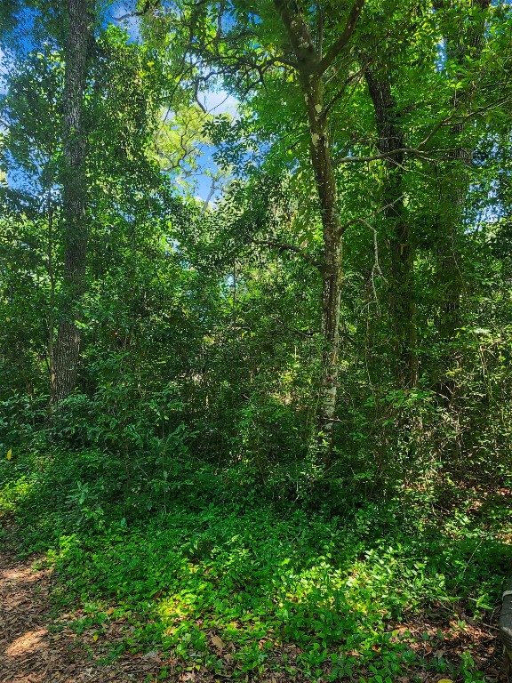 Amelia Circle, Fernandina Beach, Florida image 3