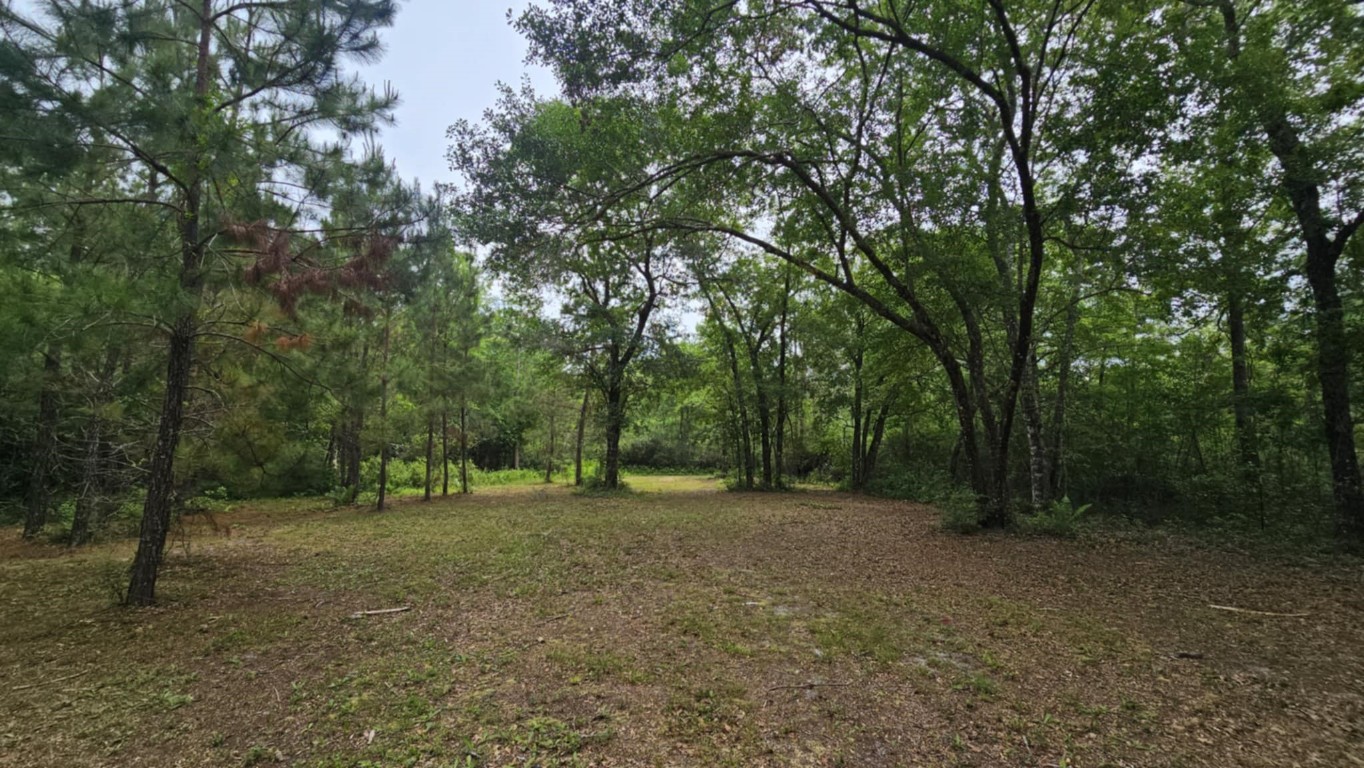 17187 Liller Road, Hilliard, Florida image 44