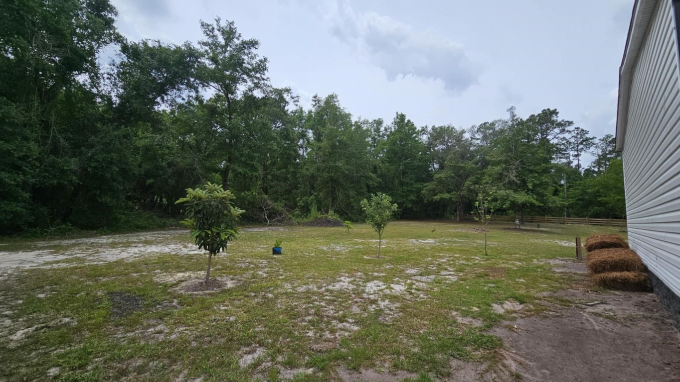 17187 Liller Road, Hilliard, Florida image 35