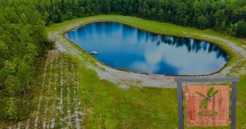 Vacant Land For Sale - LOT 1 Us Highway 301<br/> Bryceville, FL 32097