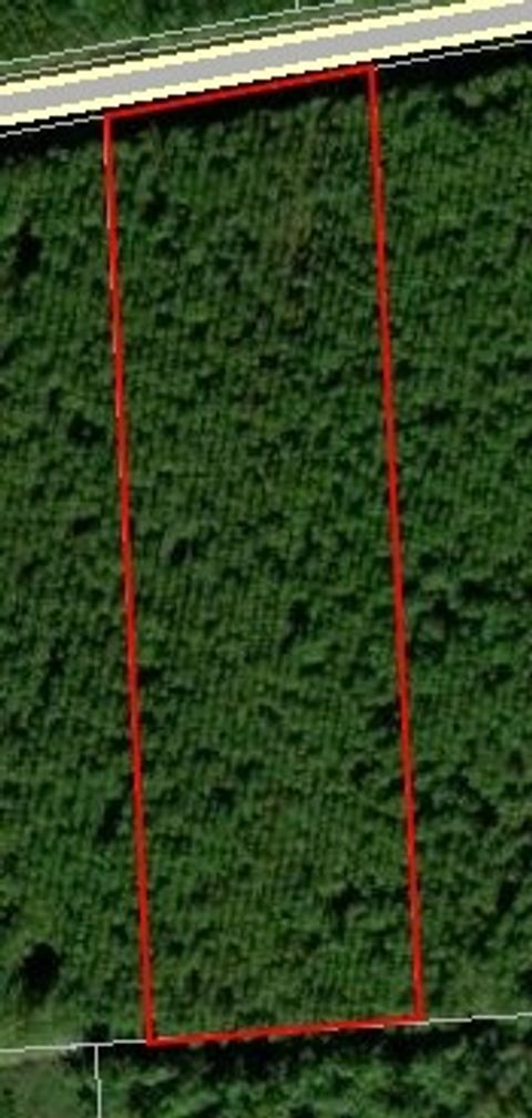 Vacant Land For Sale - 172683 Andrews Road<br/> Hilliard, FL 32046