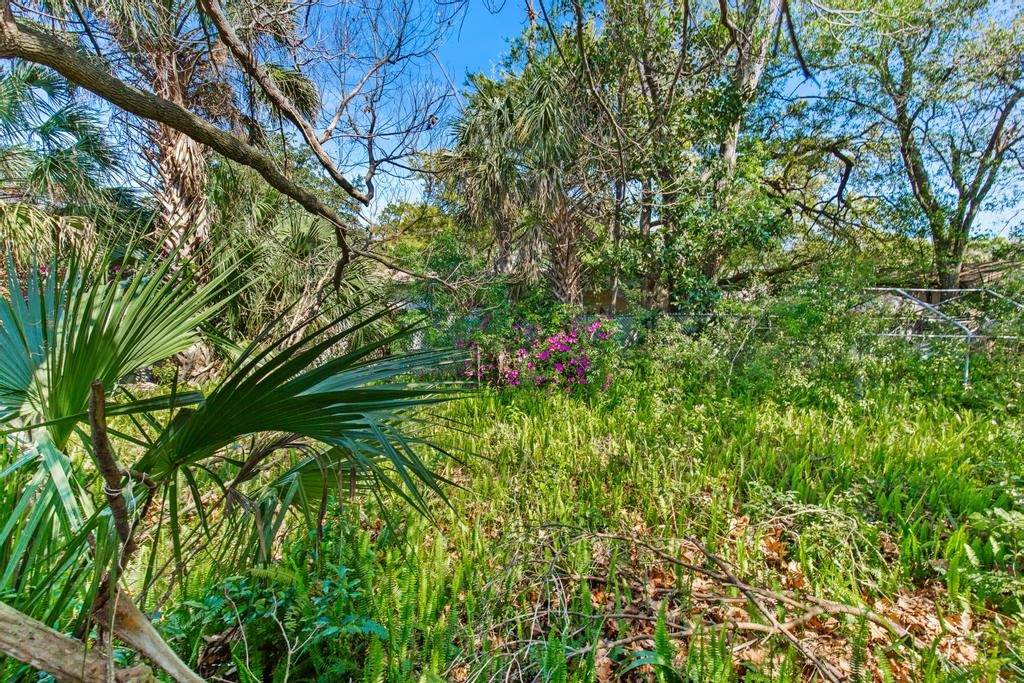 8551 Burkhall Street, Jacksonville, Florida image 50
