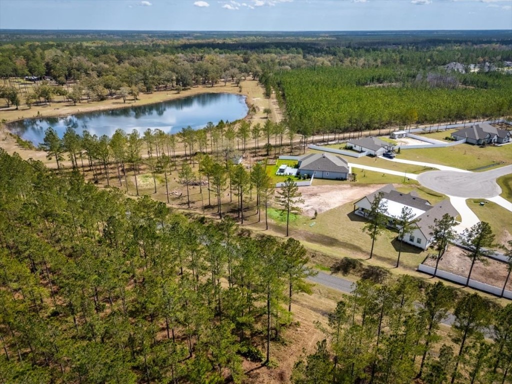 36426 Pitch Lane, Hilliard, Florida image 50