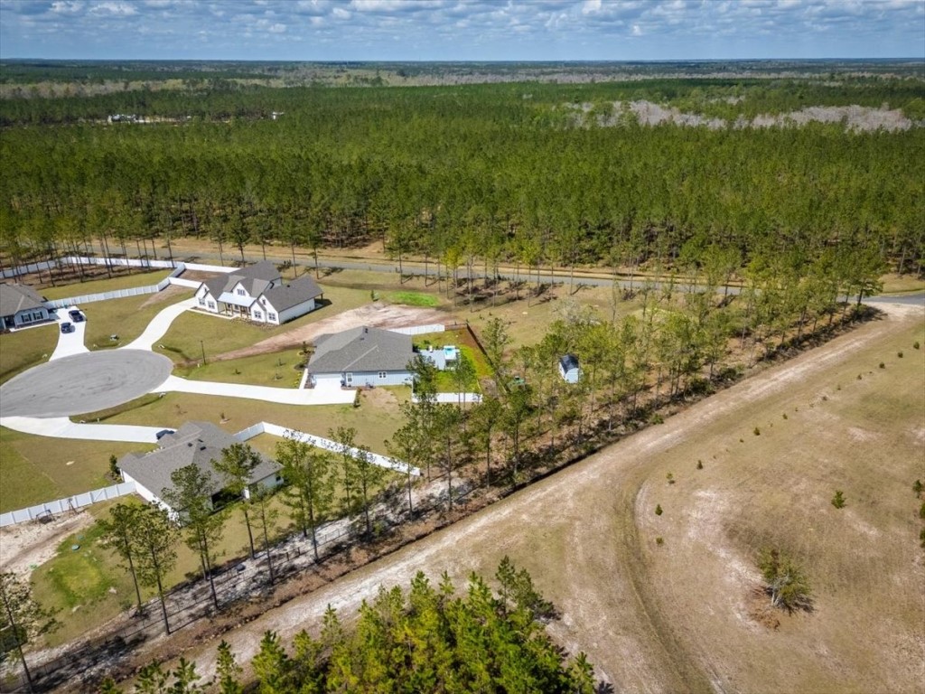 36426 Pitch Lane, Hilliard, Florida image 46