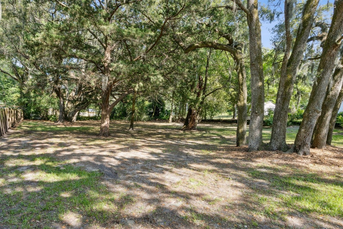 724 N 14th Street, Fernandina Beach, Florida image 23