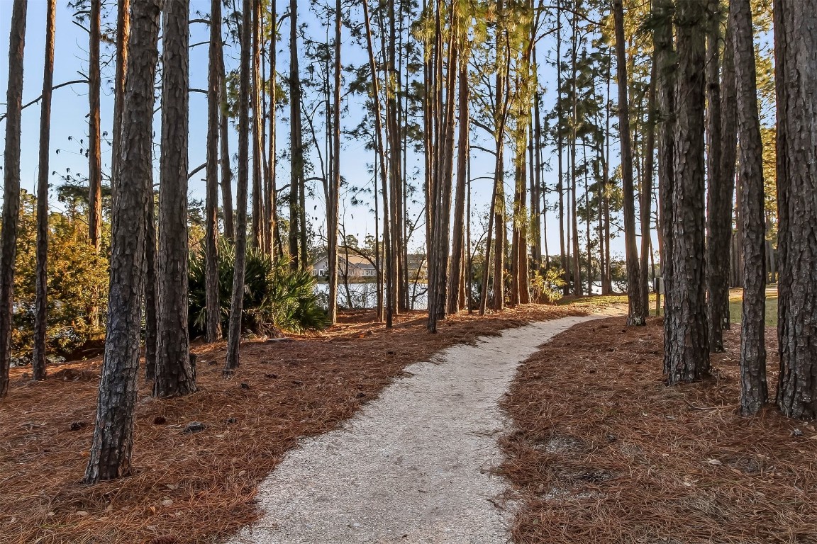 1915 Hometown Drive, Fernandina Beach, Florida image 45