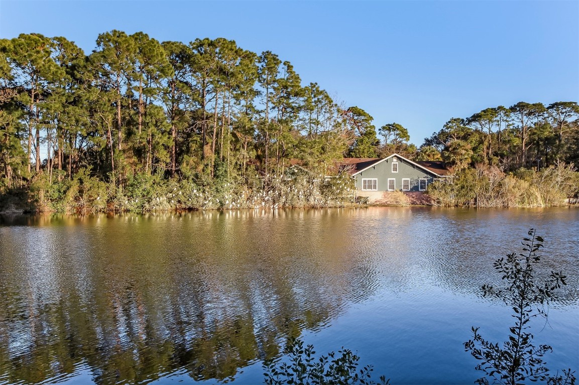 1915 Hometown Drive, Fernandina Beach, Florida image 44