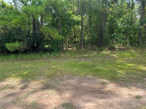 Vacant Land For Sale - 241812 County Road 121<br/> Nassau County, Hilliard, FL 32046