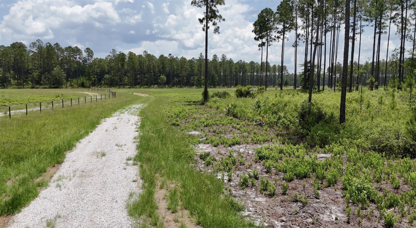 6136 Us Hwy 301, Bryceville, Florida image 8