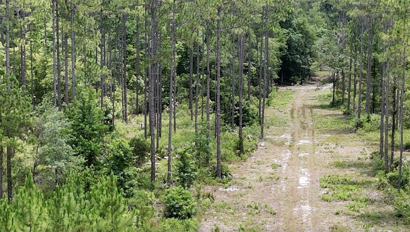 6136 Us Hwy 301, Bryceville, Florida image 7