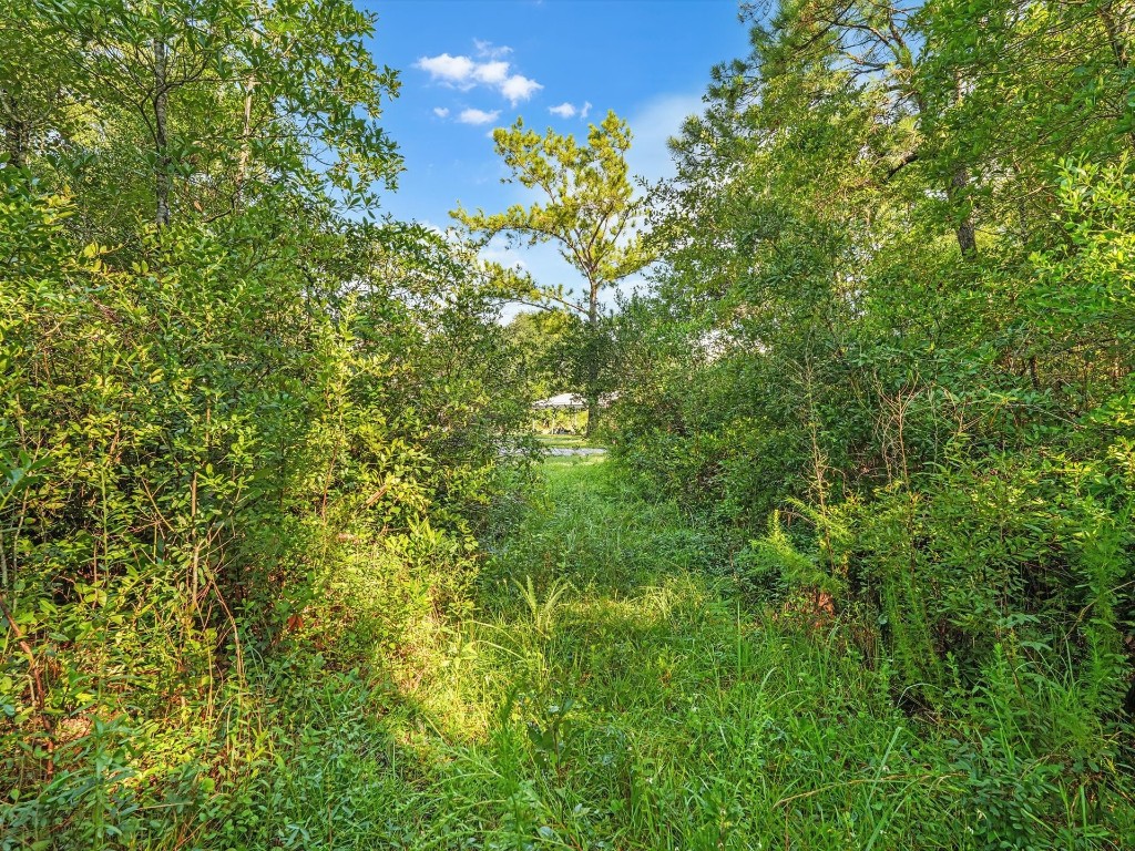 Water Oak Road, Yulee, Florida image 6