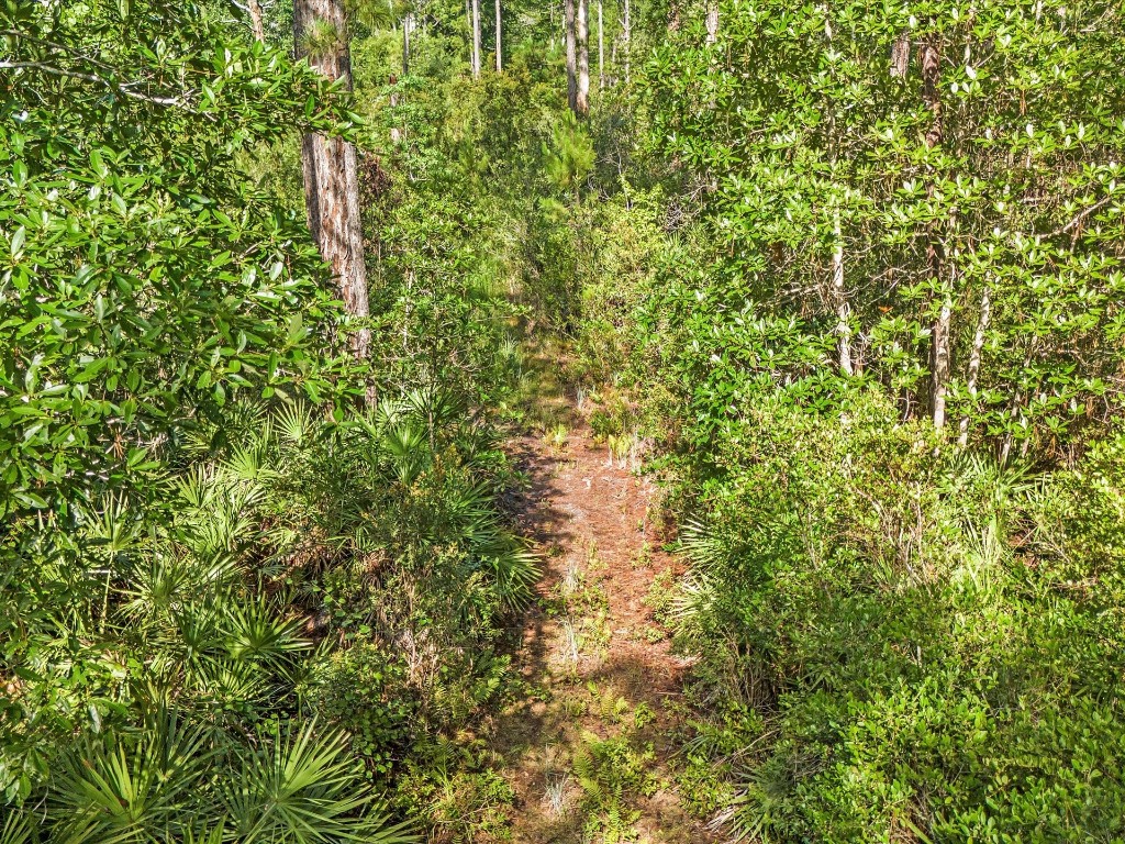 Water Oak Road, Yulee, Florida image 17