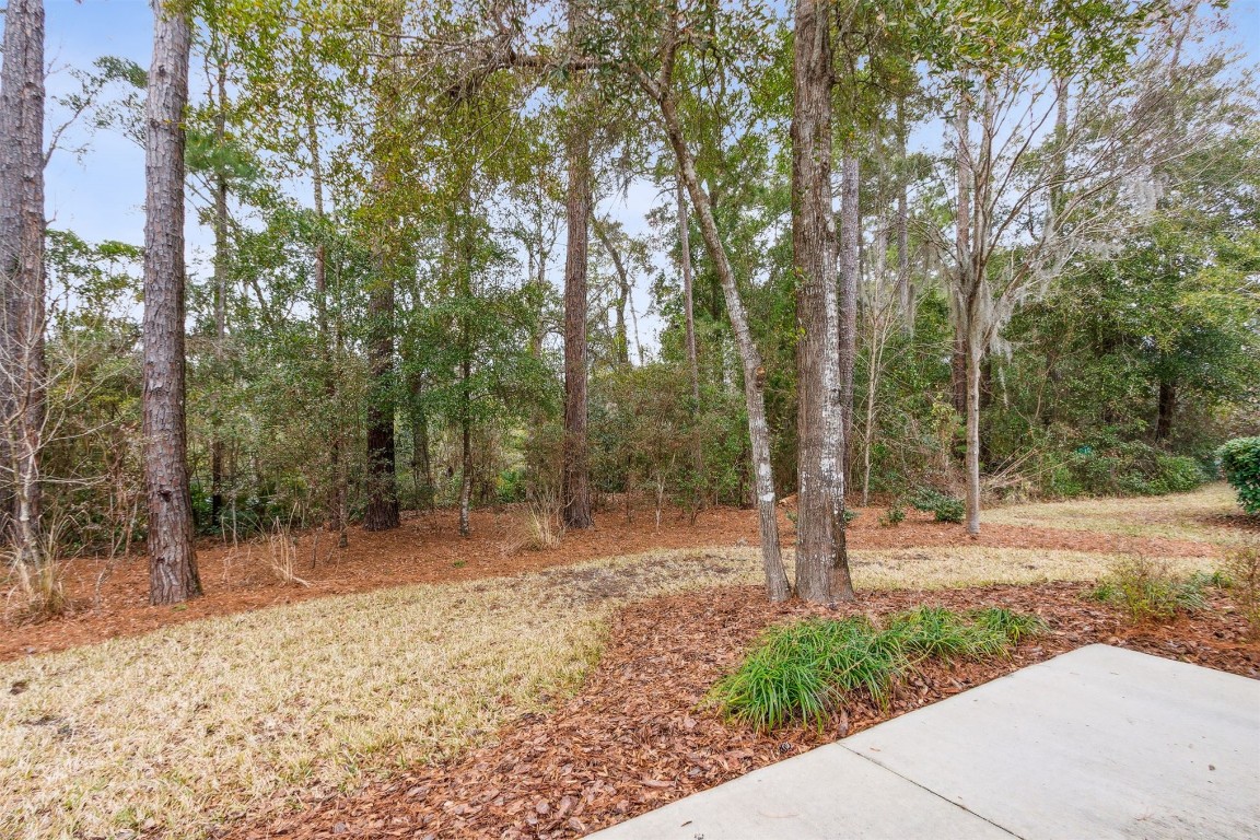 85076 Bostick Wood Drive, Fernandina Beach, Florida image 31