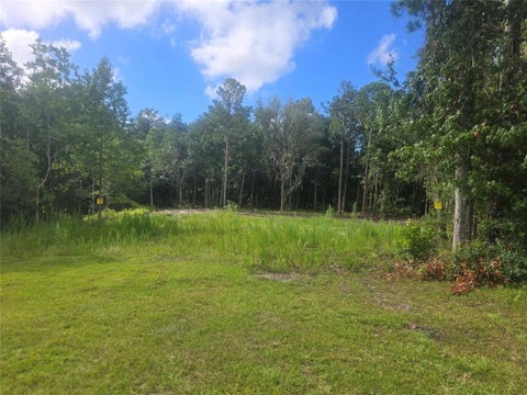 Vacant Land For Sale - 910 Someruelus Street<br/> Fernandina Beach, FL 32034