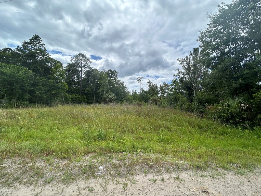 77111 Farmerville Way, Yulee, Florida image 9