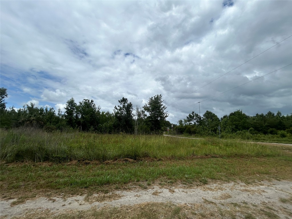 77111 Farmerville Way, Yulee, Florida image 15