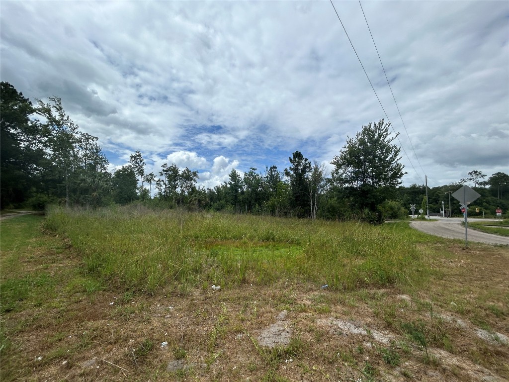77111 Farmerville Way, Yulee, Florida image 6